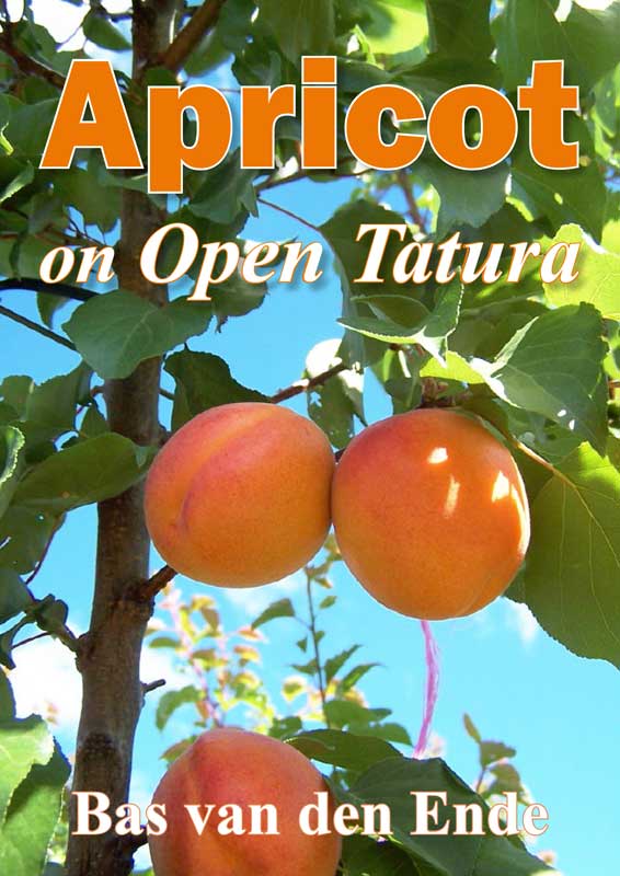 Apricot-Open-Tatura.jpg
