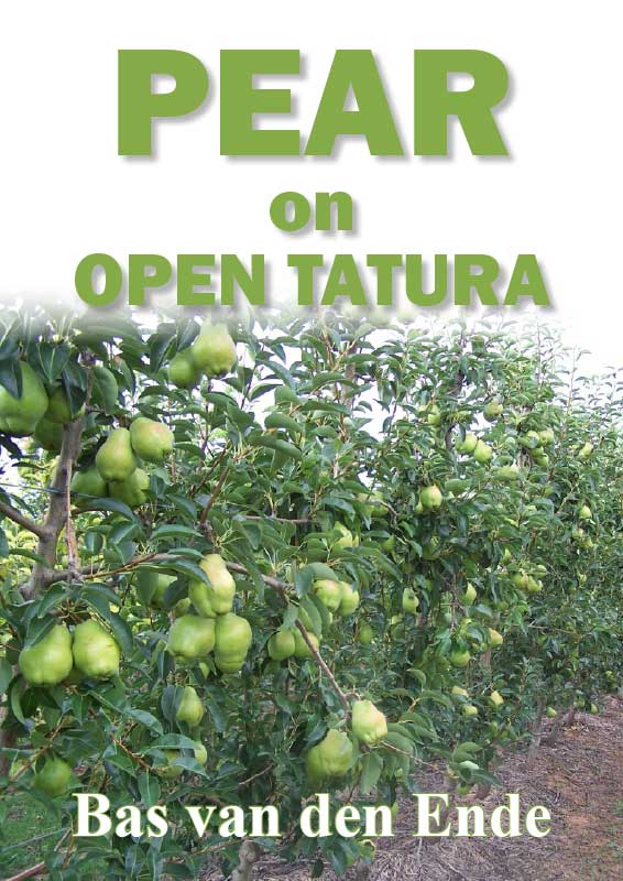Pears-Open-Tatura.jpg