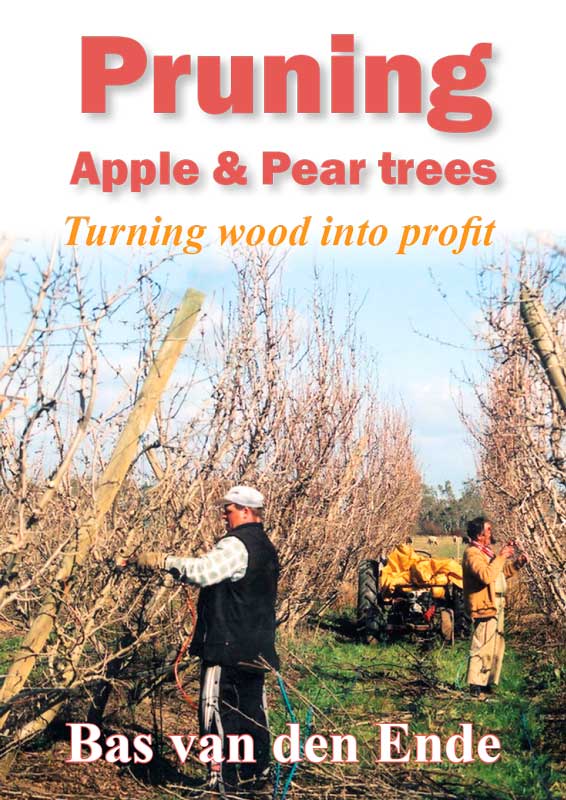 Pruning-apple-pear.jpg