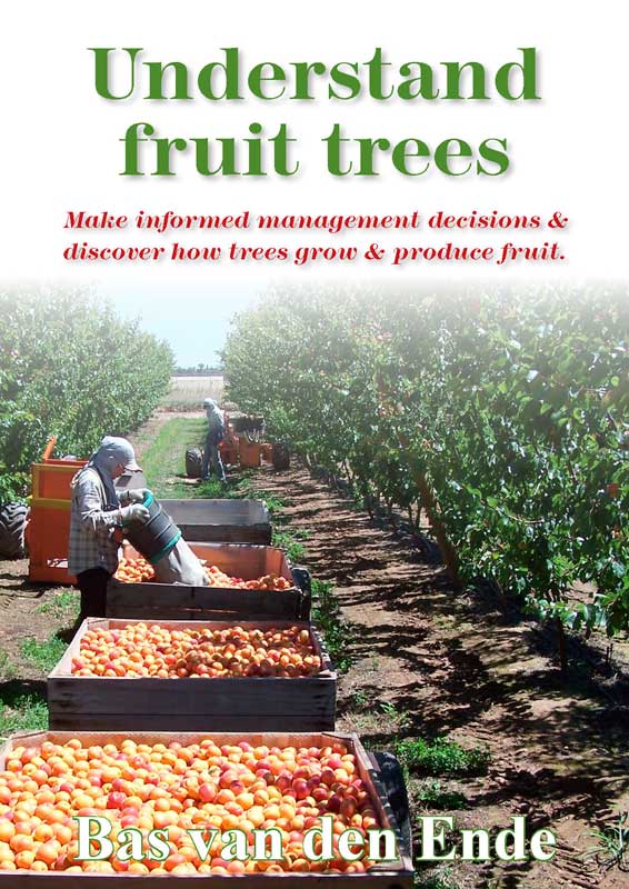 Understand-fruit-trees.jpg