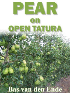 Pear on Open Tatura