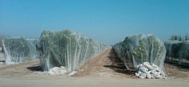 Polygro's innovative, cost effective protective solutions