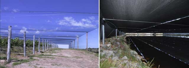 Canopies for crop protection and water storages