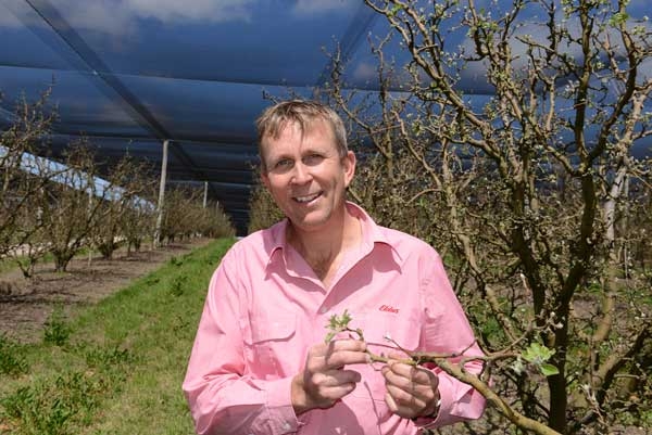 New chemistry welcomed by apple growers