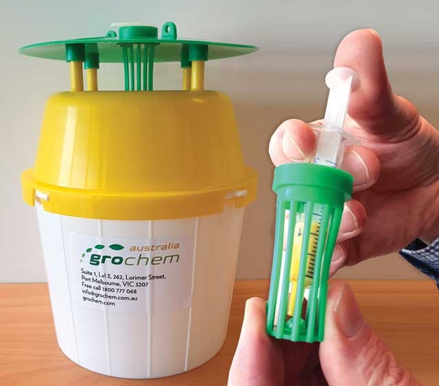 New fall armyworm trap from Grochem