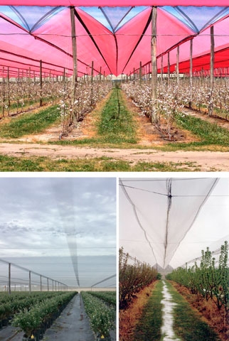 Netpro—the protected cropping innovators