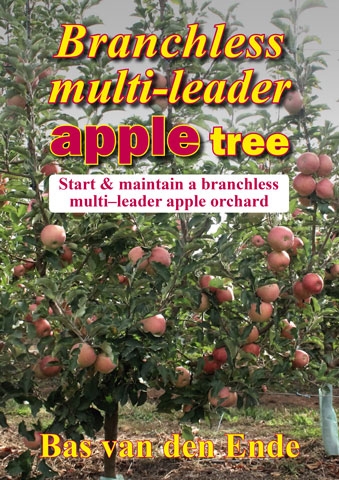 Branchless multi-leader apple tree