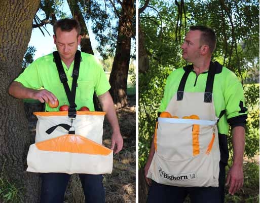 Fruit picking bags designed for YOU