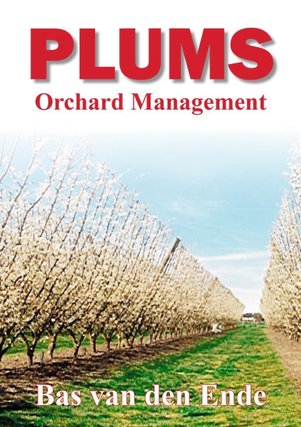 Plums orchard management