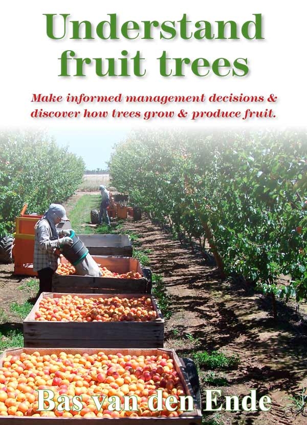 New orchard manual: 'Understand fruit trees' provides foundation to make informed management decisions