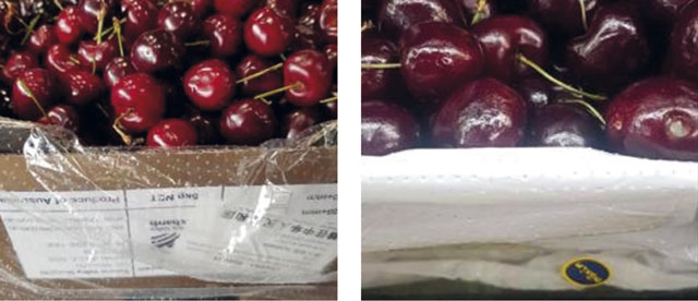 Innovative perforated bag & compostable liner from Peakfresh