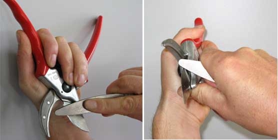 A guide to maintaining secateurs