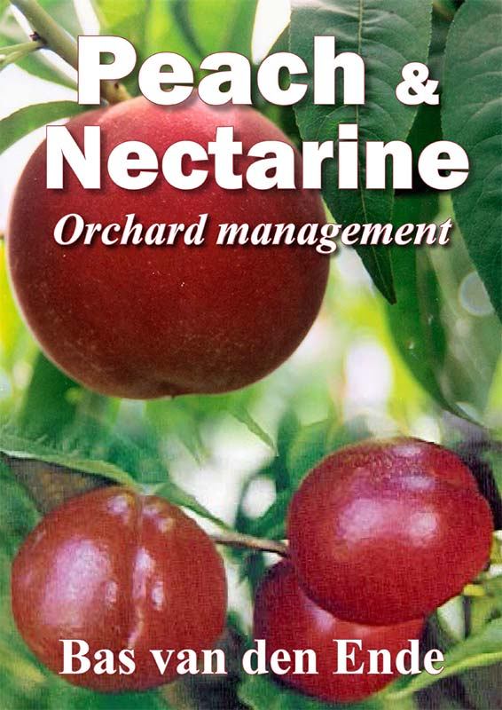 Peach & nectarine orchard management
