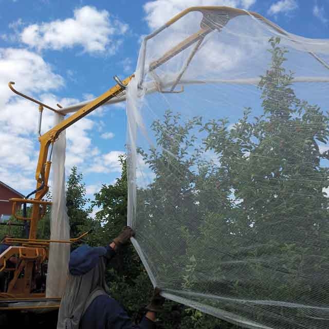Drape Net—10 years protecting tree crops