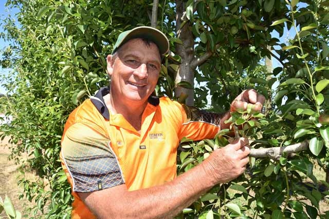 Bigger, cleaner fruit, more dollars with unique fungicide