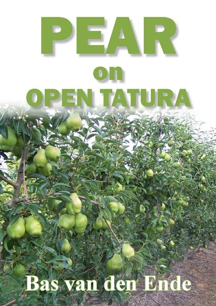Pear on Open Tatura