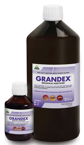 IPM/Organic growers manage CM & OFM with Grandex