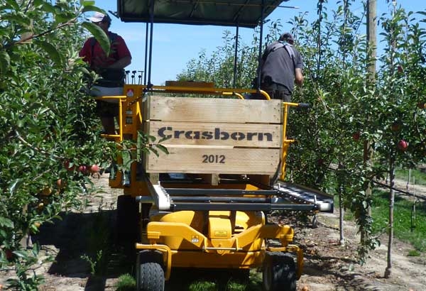 Platform mechanisation for intensive orchards
