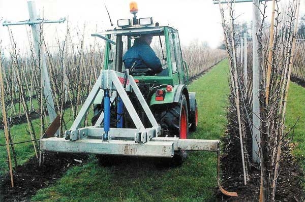Root pruning (part 2)