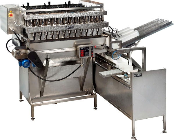 DNL Processing and packaging systems