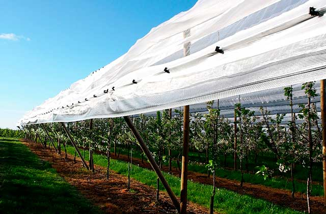 Voen for optimal microclimate & crop protection