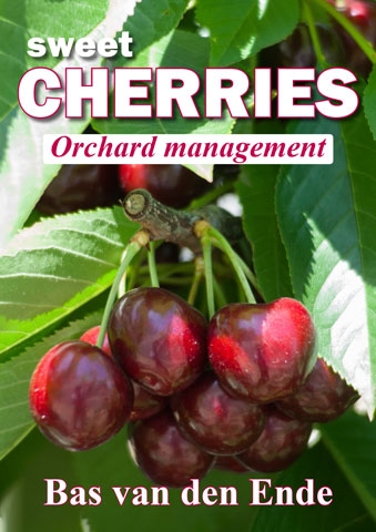 Cherry orchard management