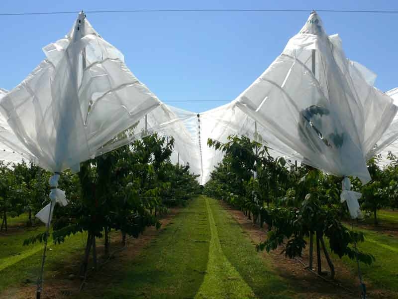 Effective rain cover system