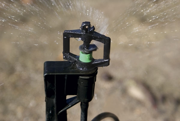 Mini sprinklers for overhead & under-tree irrigation