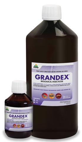 Grandex—a biological control tool for codling & Oriental fruit moth