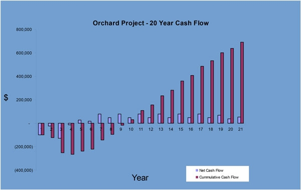 Decision tool: discounted cash flow analysis