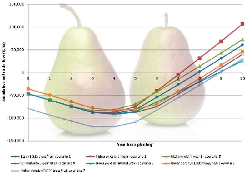 Expected returns from Deliza®­ —a new red-blushed pear (part 3)