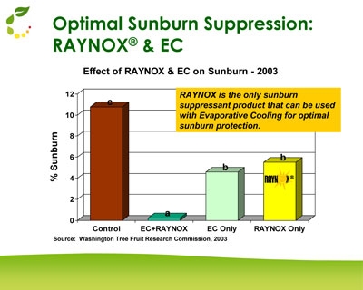 Raynox—a clear solution to sunburn