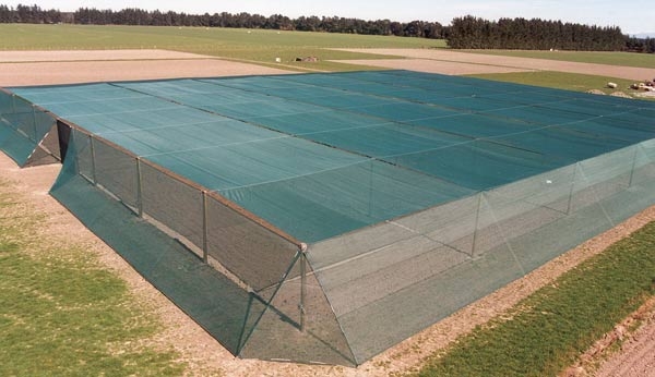 Premium netting protects crops