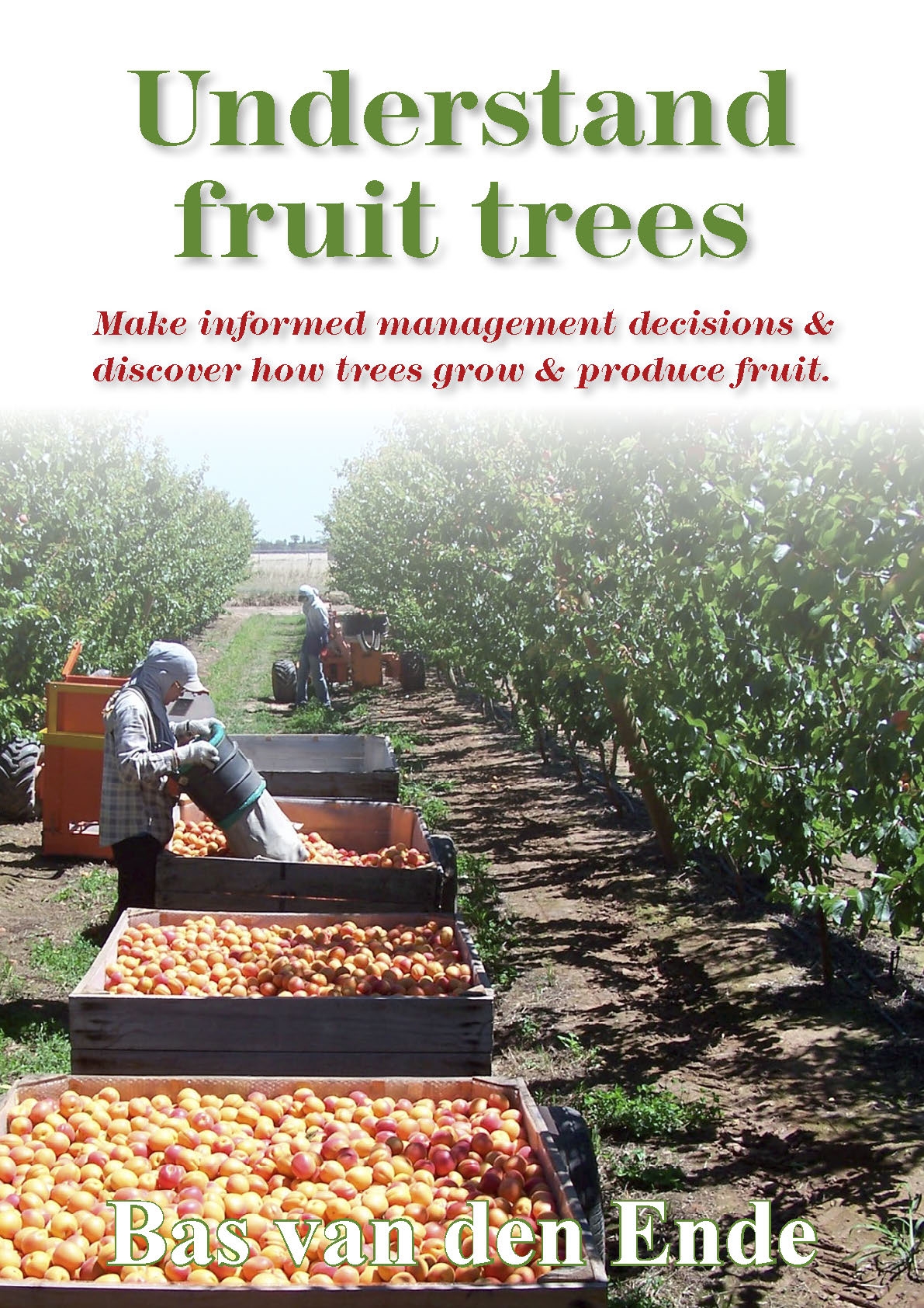 Understand fruit trees