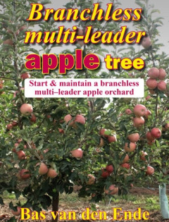 Branchless multi-leader apple tree