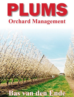 Plums orchard management