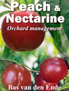 Peach & nectarine orchard management