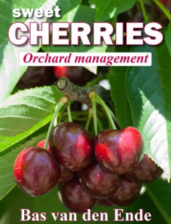 Cherry orchard management