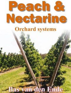 Peach & nectarine orchard systems