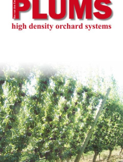 Plums high density systems
