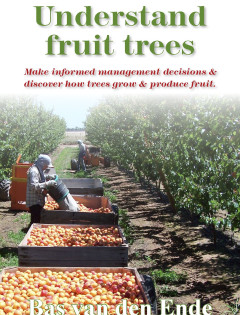 Understand fruit trees